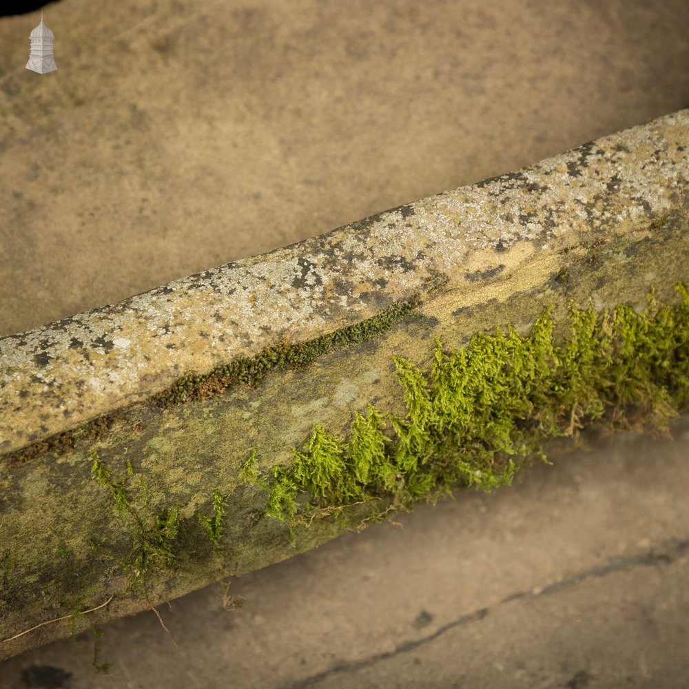 Weathered Stone Trough Planter