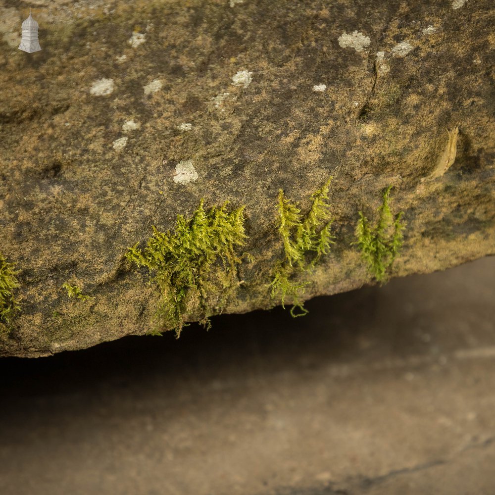 Weathered Stone Trough Planter