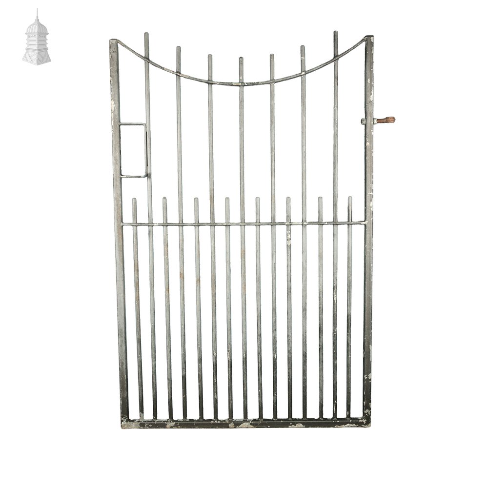 Side Gate with Swept Top Rail & Dog Bars