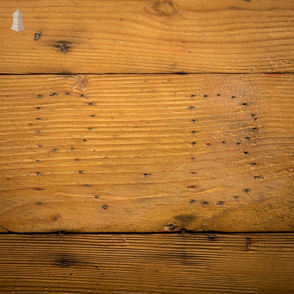 Dome Top Trunk, 19th C Pine Blanket Box Wooden Chest