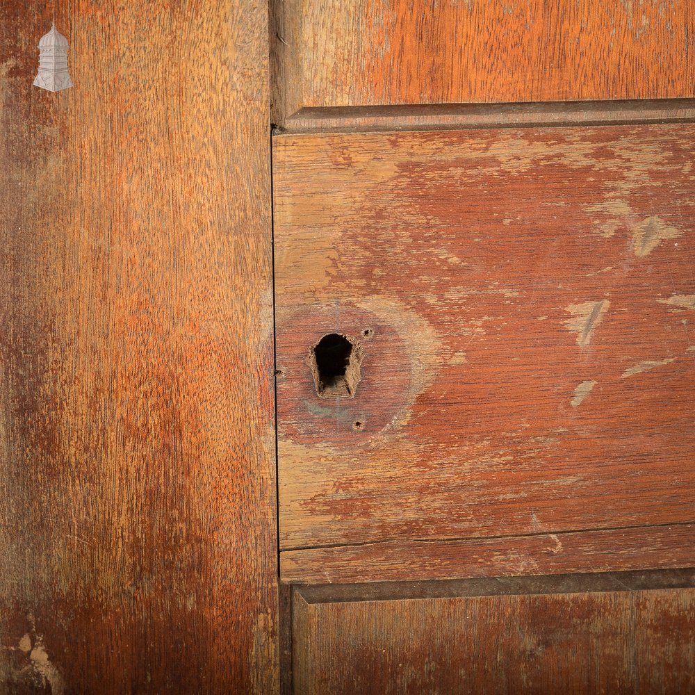 Wide Hardwood Door, Two Panel Mahogany, Early 20th C