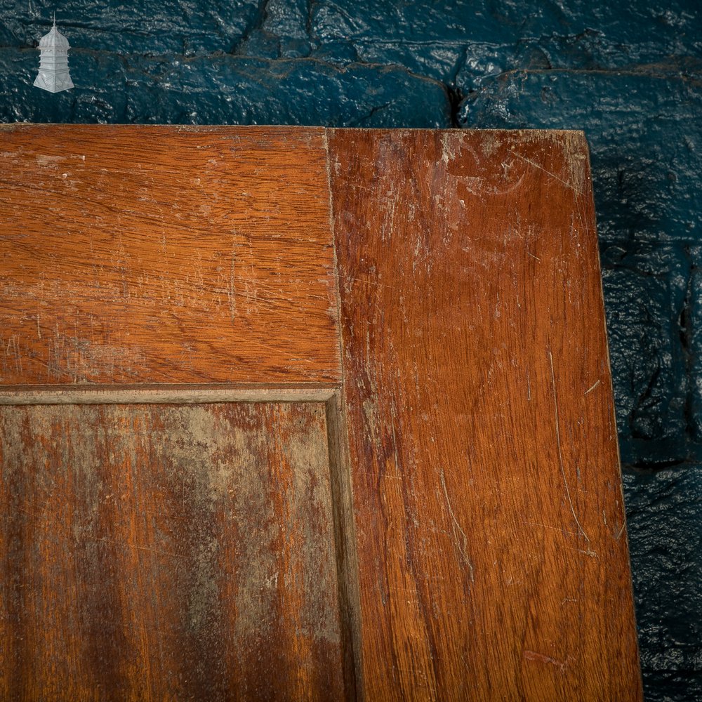 Hardwood Panel Door, Wide, 20th C Mahogany