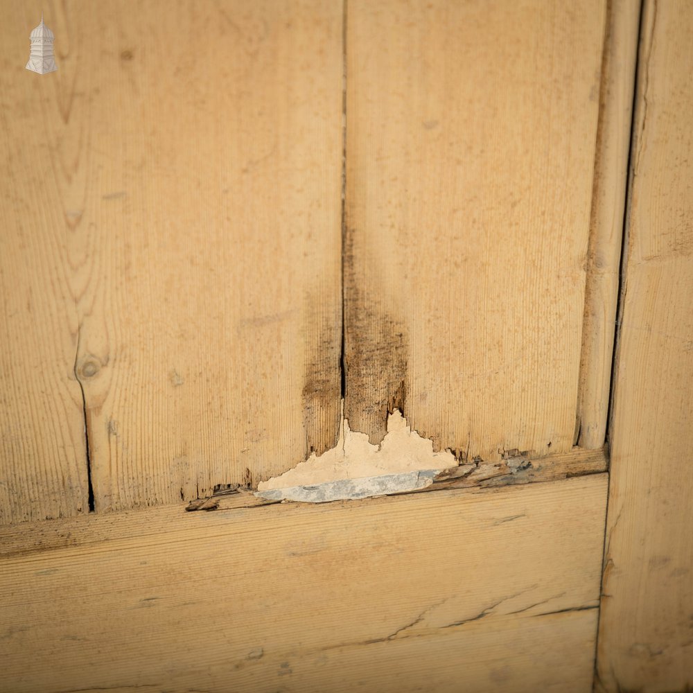 Pine Panelled Door, 2 Panel