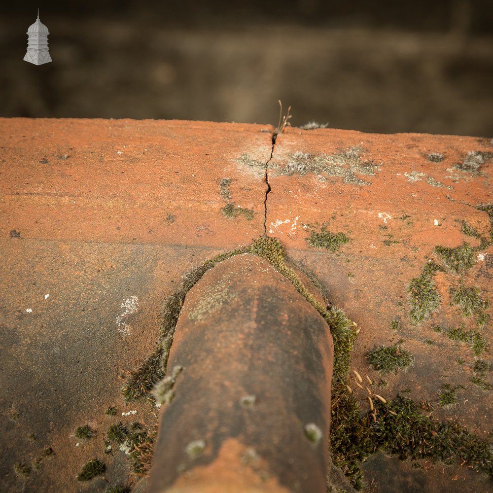 Parapet Coping Bricks, Decorative Rose Detail, 19th C Weathered Red Clay, Pair