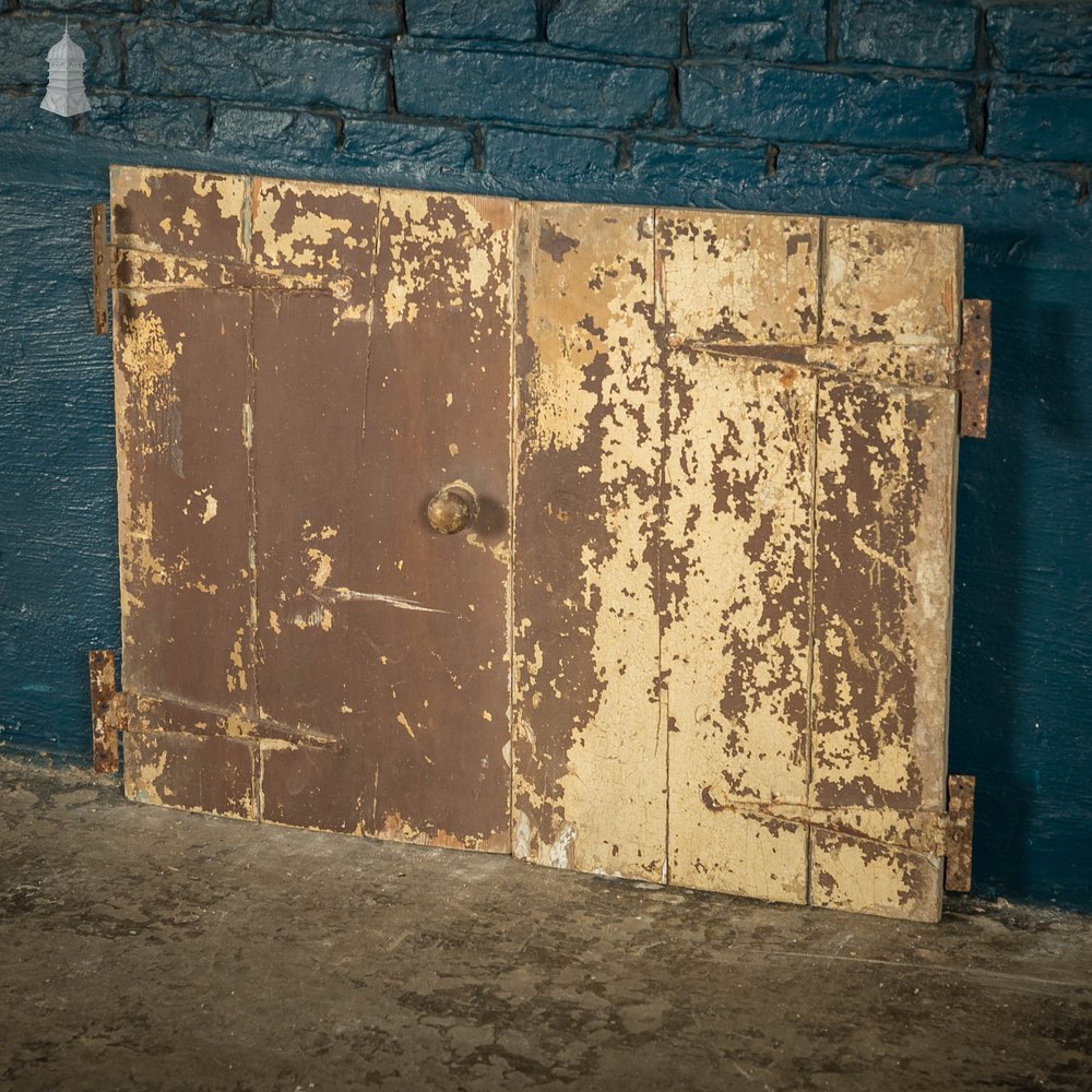 Pine Cupboard Door Pair, Distressed Paint