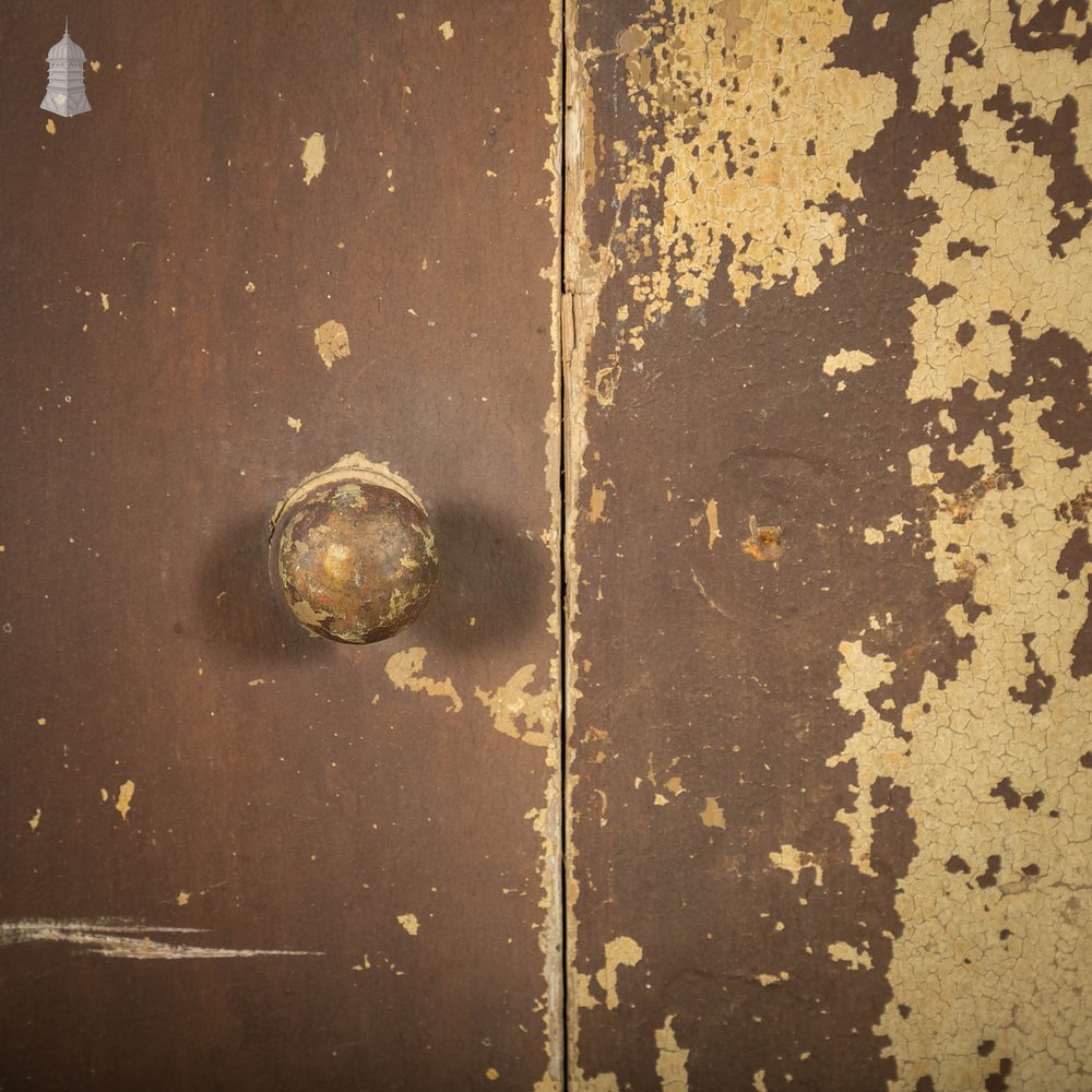 Pine Cupboard Door Pair, Distressed Paint