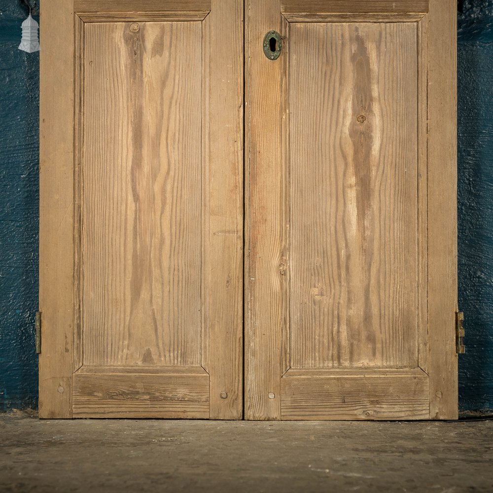 Pine Cupboard Door Pair, Bullseye Rosette Design