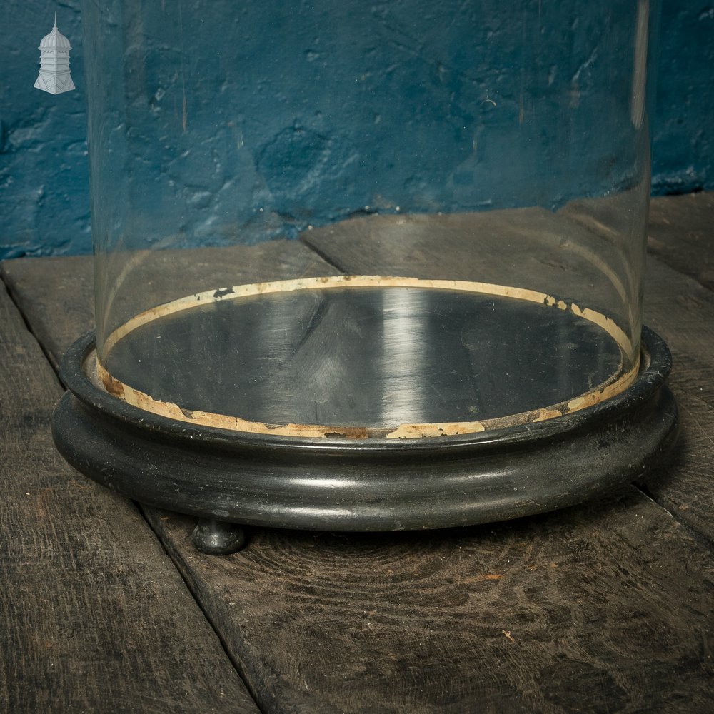 Glass Display Cloche with turned Wooden Base, 19th C Glass Bell Dome