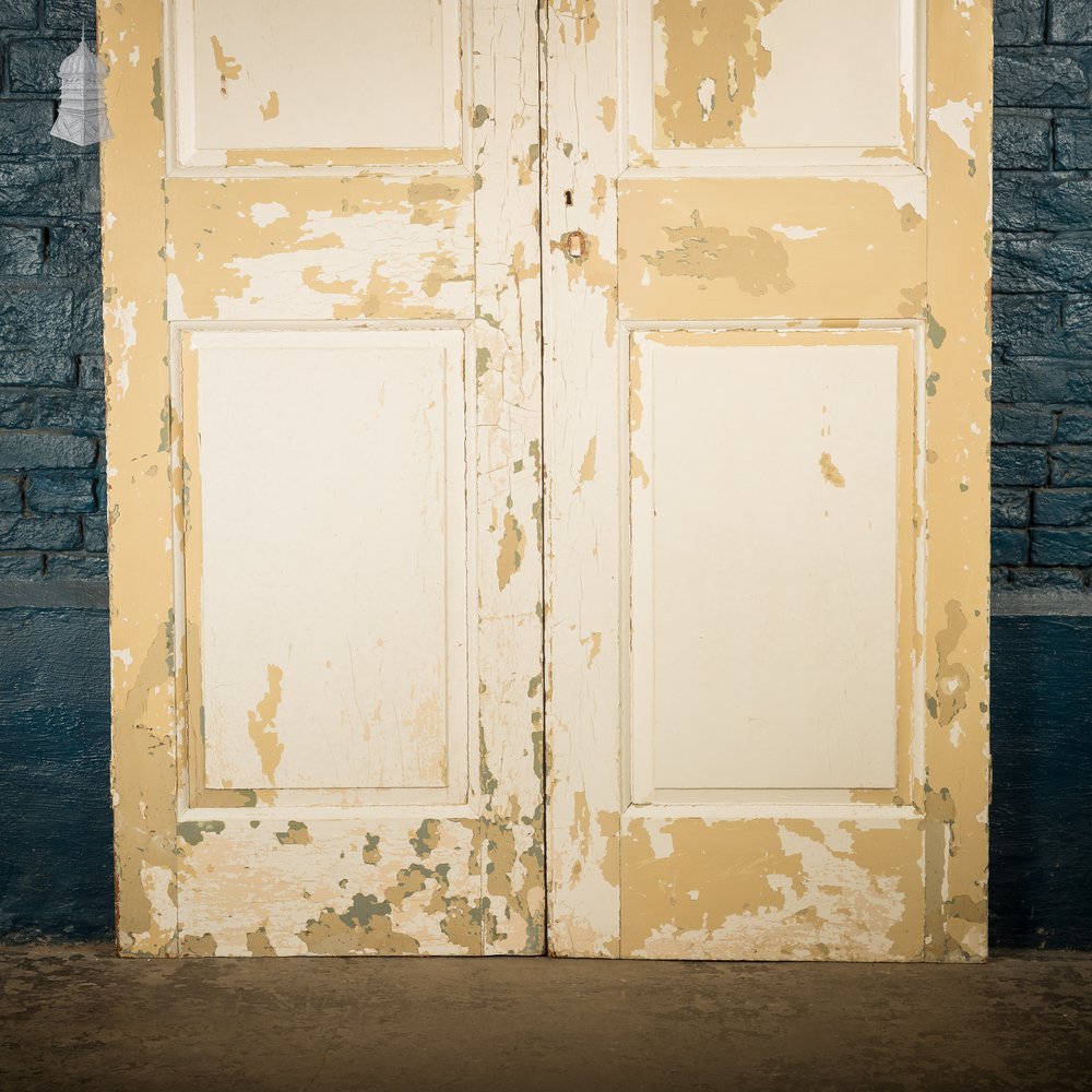 Pair of 3 Panel Doors