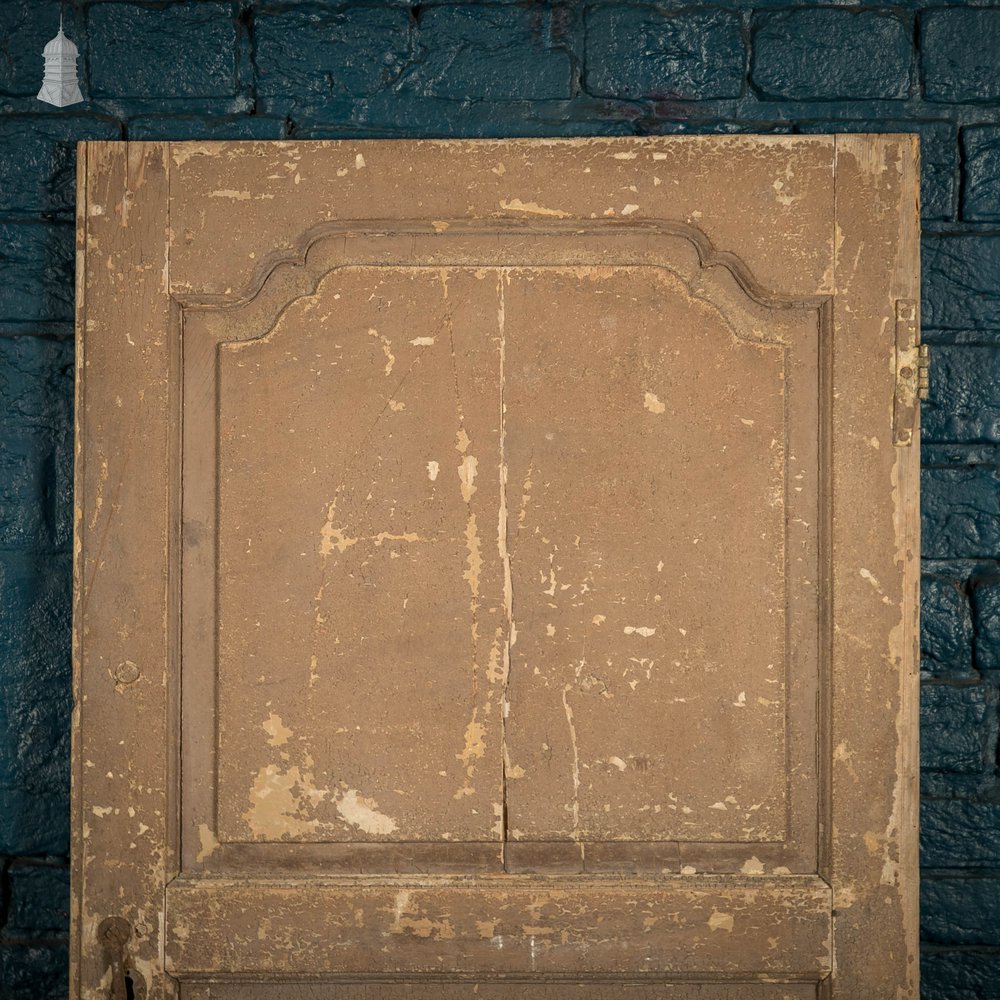 French Cupboard Door, 18th C Moulded 2 Panel Pine Door with Distressed Painted Finish