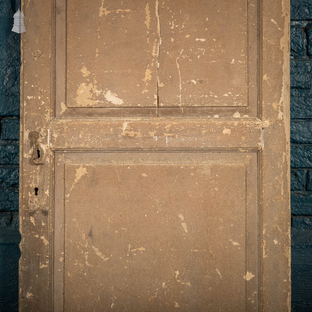 French Cupboard Door, 18th C Moulded 2 Panel Pine Door with Distressed Painted Finish