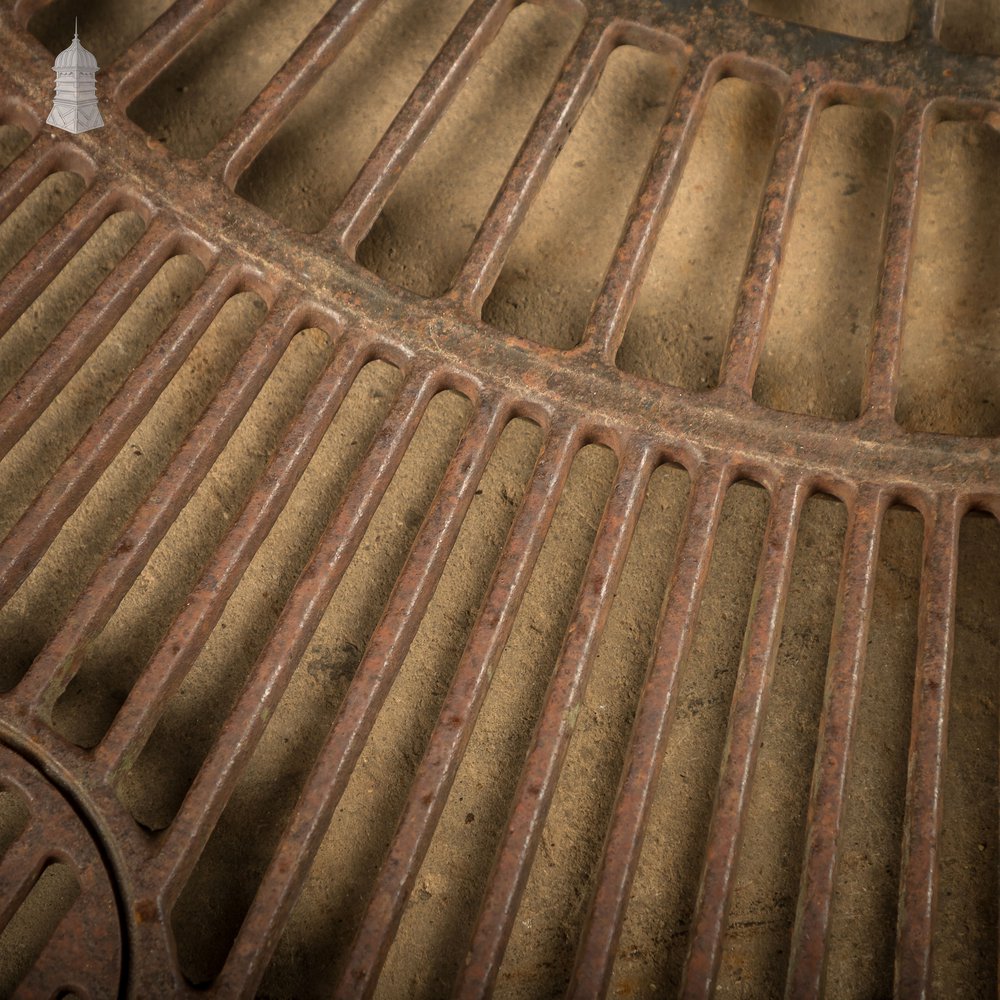 Pavement Root Guard for Trees, Cast Iron