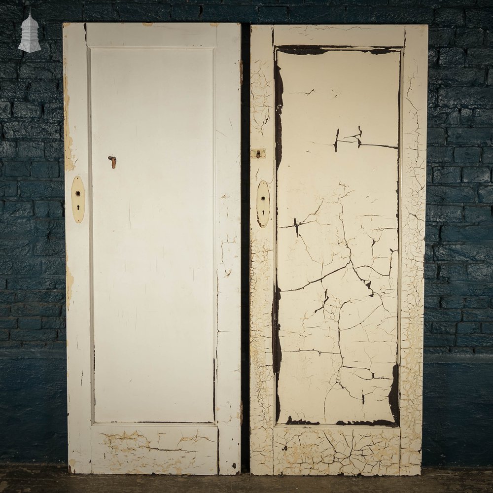 Pine Panelled Doors, Pair of White Painted Doors