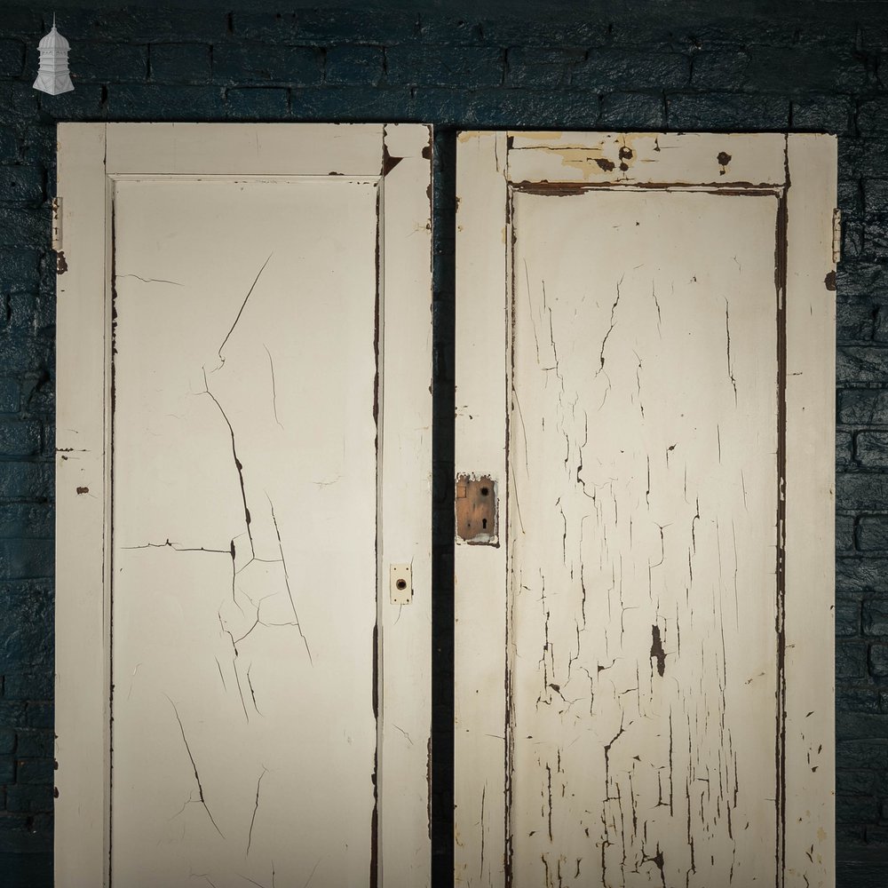 Pine Panelled Doors, Pair of White Painted Doors