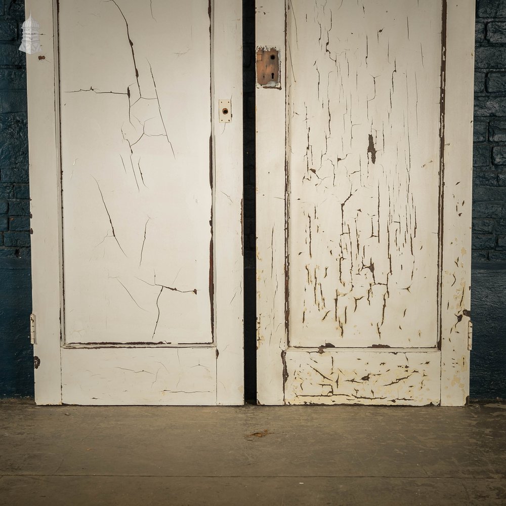 Pine Panelled Doors, Pair of White Painted Doors