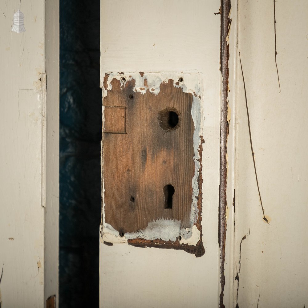 Pine Panelled Doors, Pair of White Painted Doors