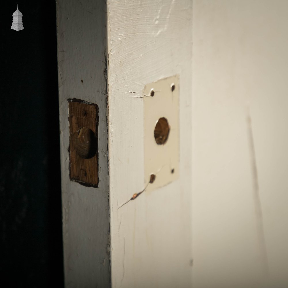 Pine Panelled Doors, Pair of White Painted Doors