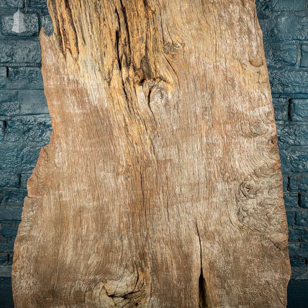 Rustic Oak Slab