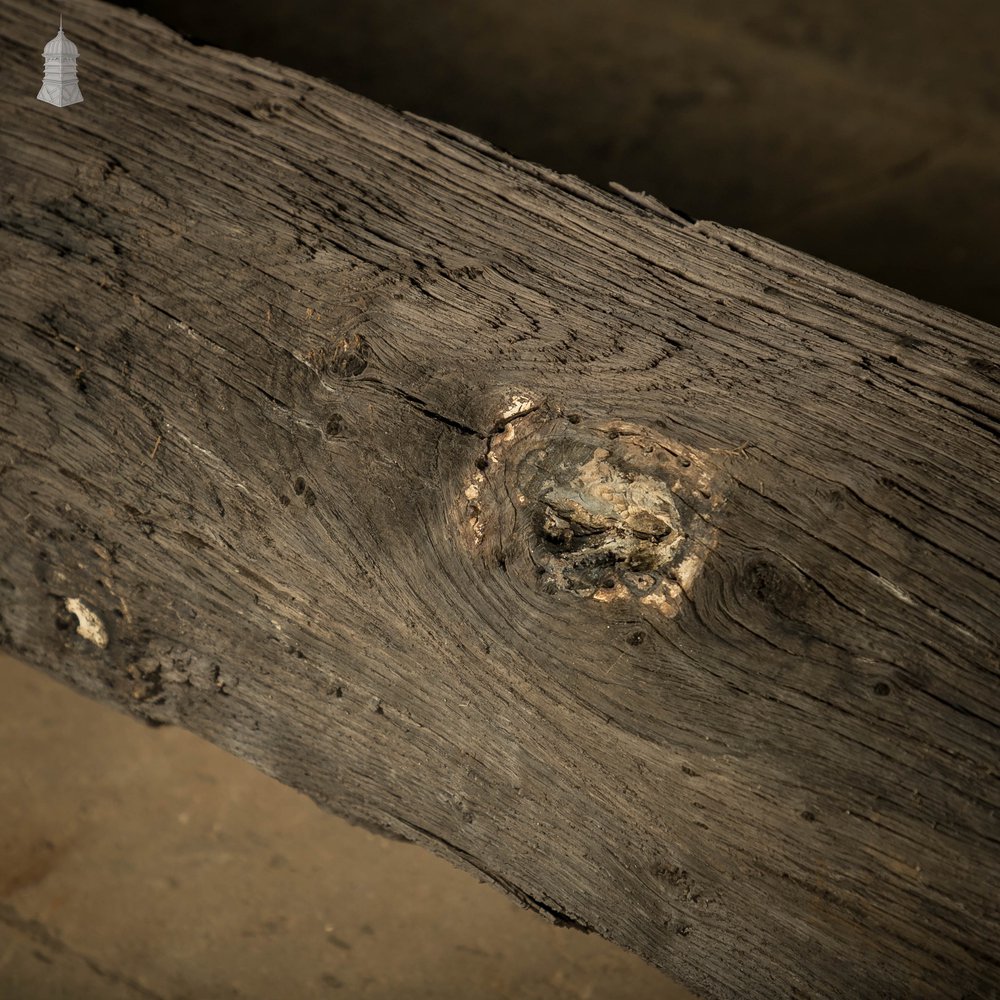 Medieval Well Pipe, Oak