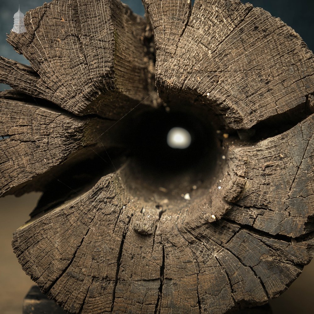 Medieval Well Pipe, Oak