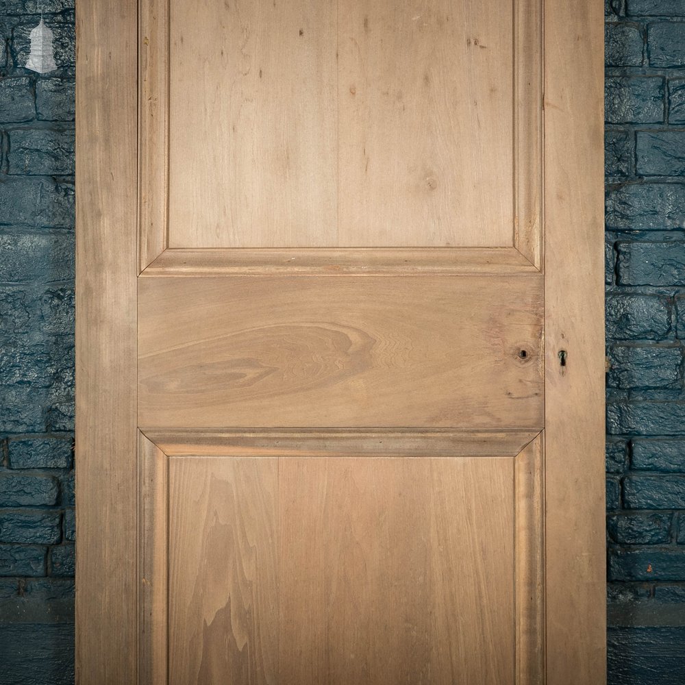 Hardwood Panelled Door, Poplar Tulipwood, Moulded 2 Panel