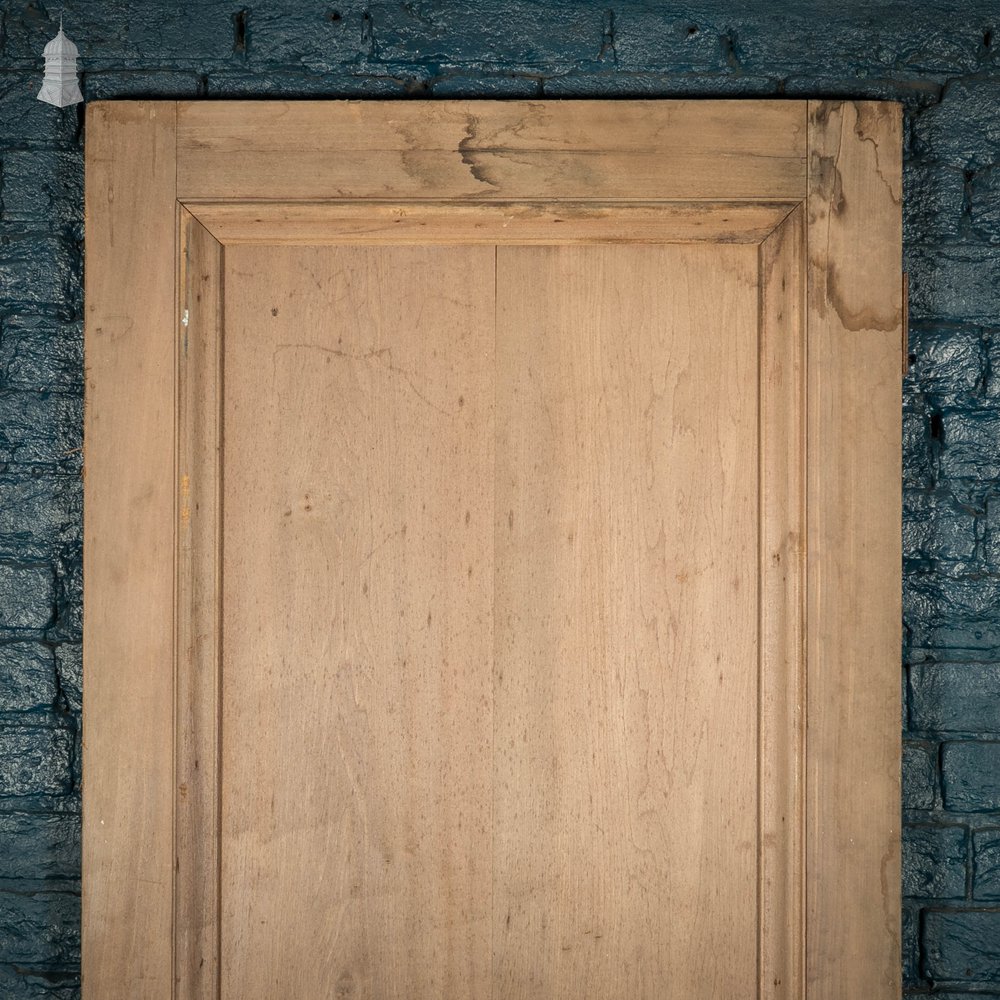 Hardwood Panelled Door, Poplar Tulipwood, Moulded 2 Panel