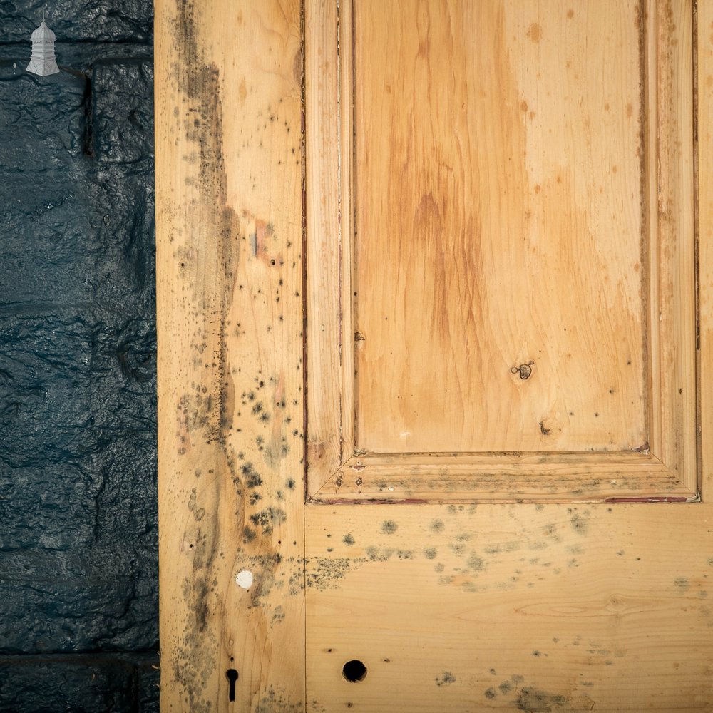 Pine Panelled Door, Victorian Style 4 Panel