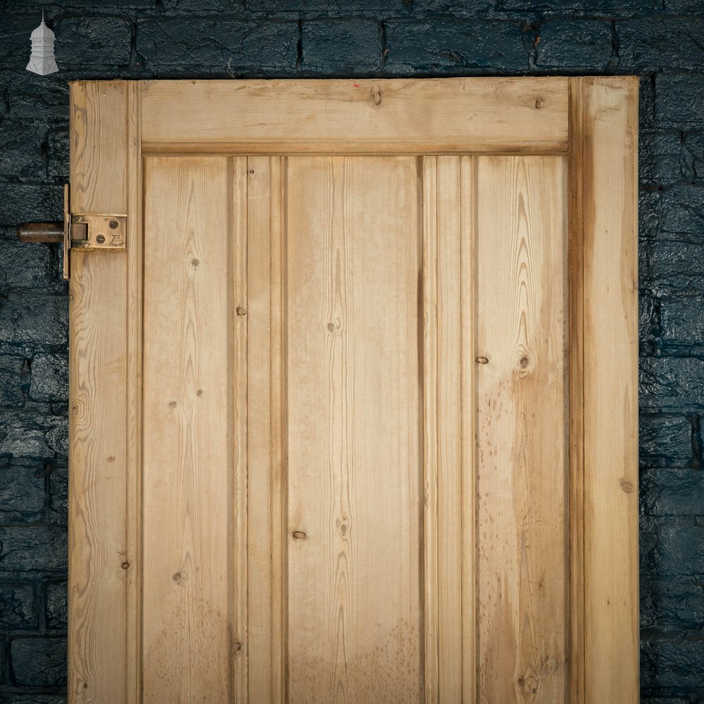 Pine Panelled Door, Moulded 6 Panel with Double Pivot Hinges