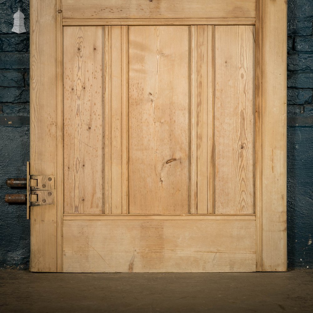 Pine Panelled Door, Moulded 6 Panel with Double Pivot Hinges