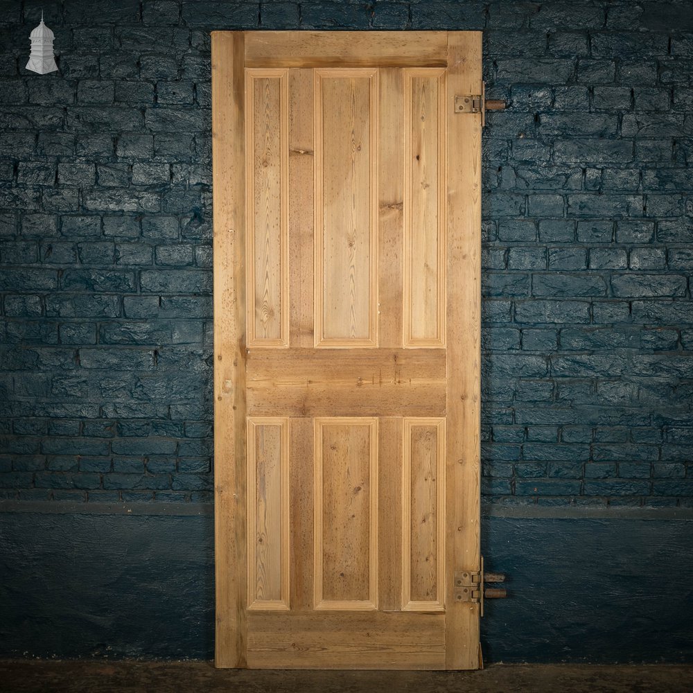 Pine Panelled Door, Moulded 6 Panel with Double Pivot Hinges