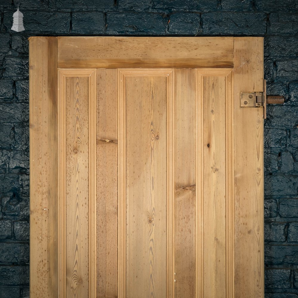 Pine Panelled Door, Moulded 6 Panel with Double Pivot Hinges