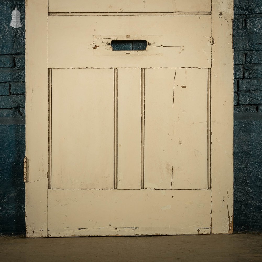 Pine Paneled Door, 5 Panel, White Painted