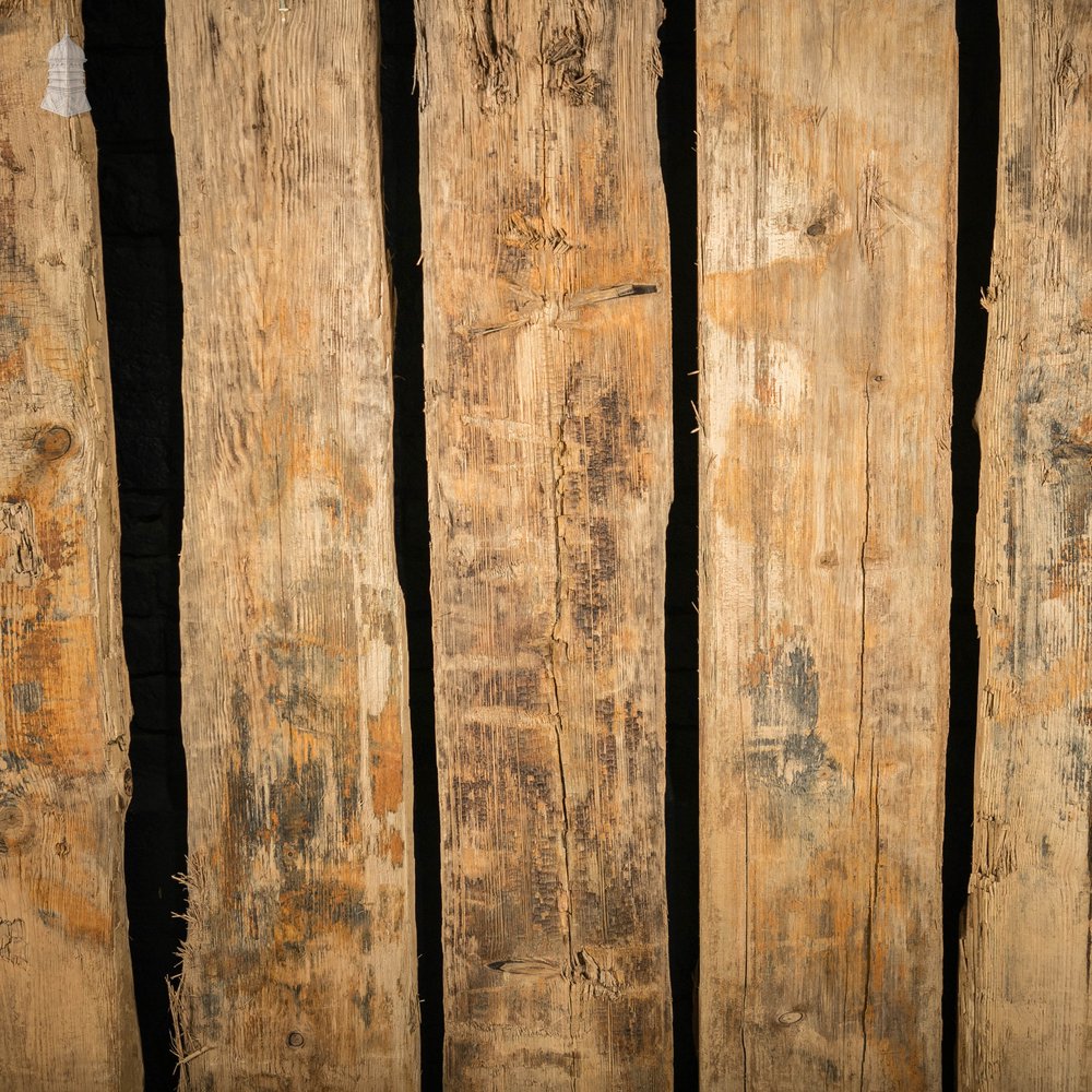 Weathered Pine Pilings, Batch of 32 – 11 Square Metres