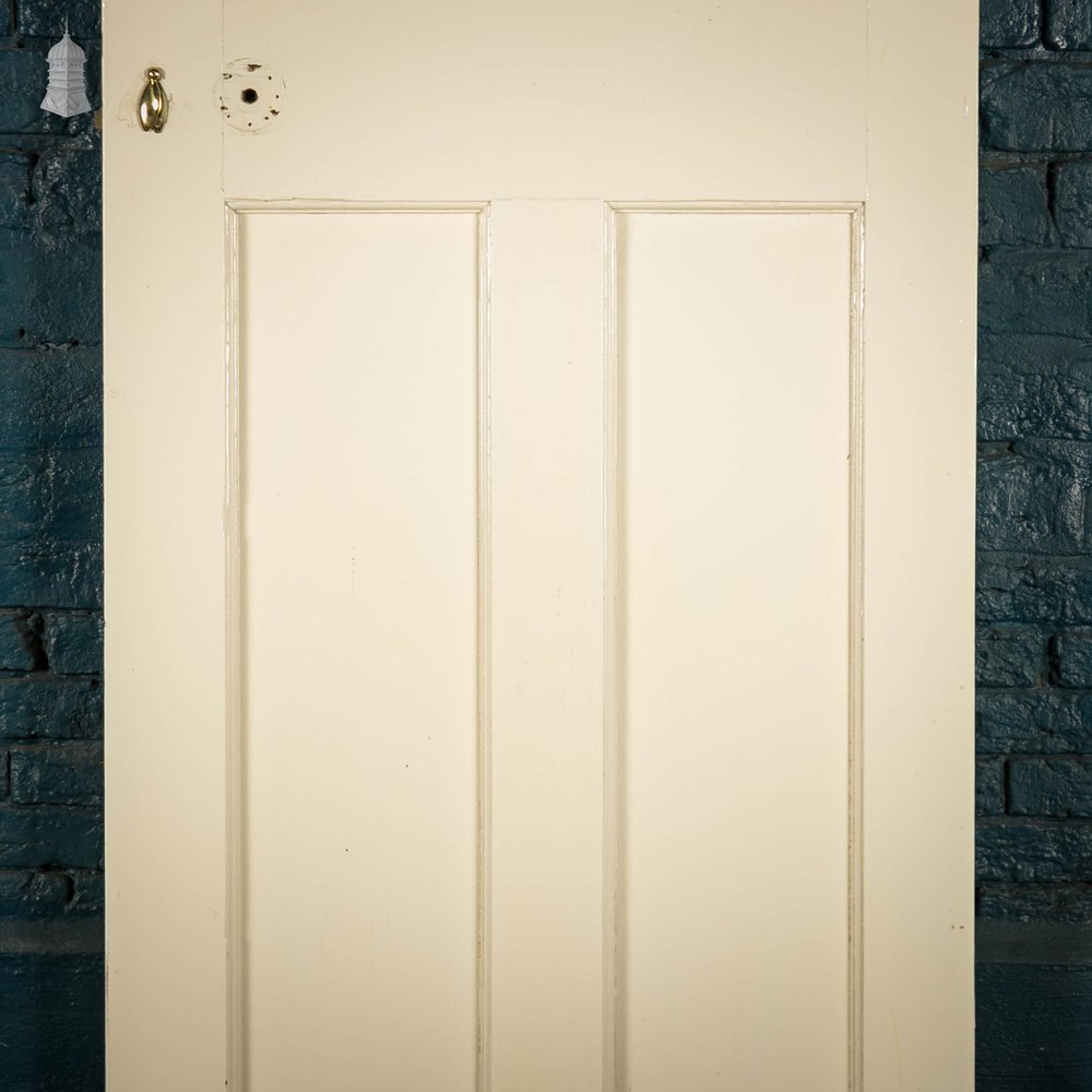 Pine Panelled Door, White Painted 3 Panel