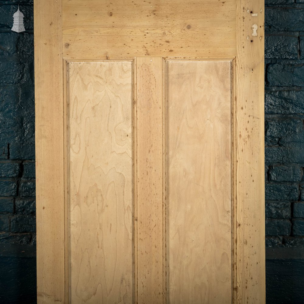 Pine Panelled Door, Moulded 3 Panel