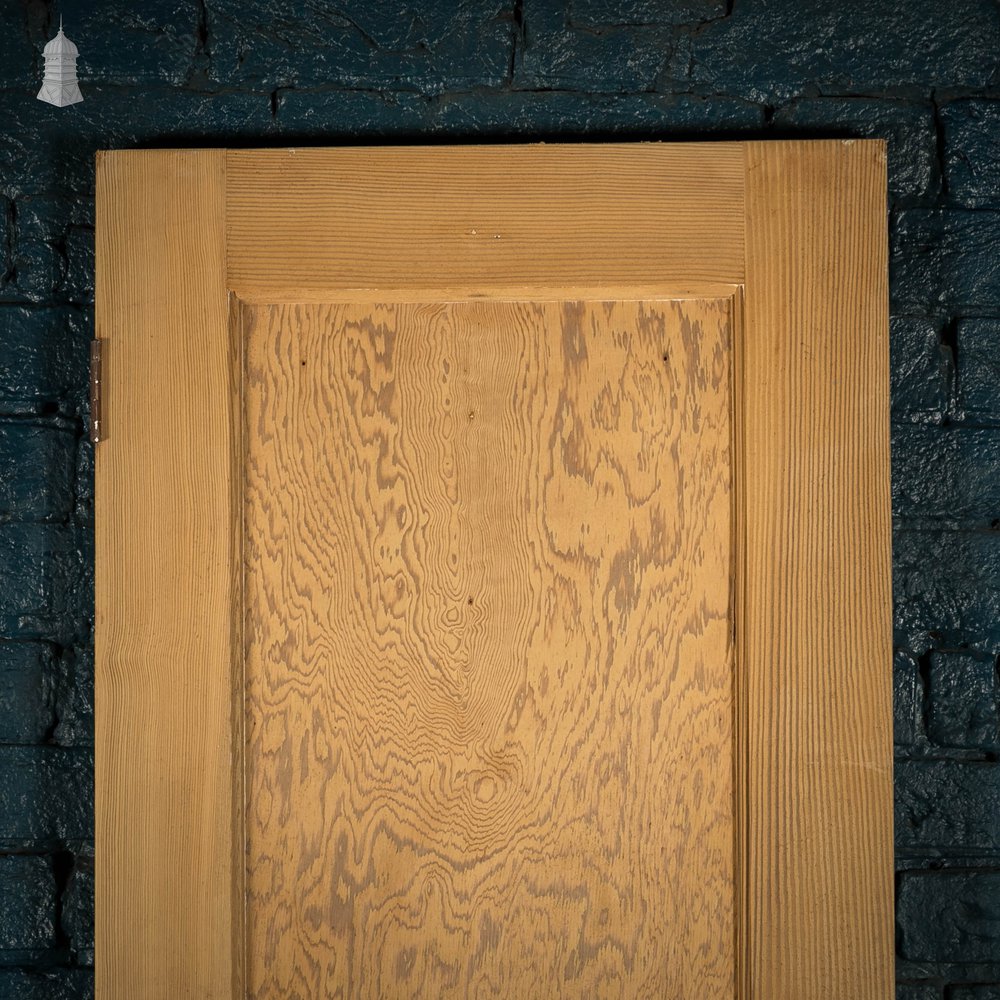 Pine Panelled Door, Moulded Panelled Door