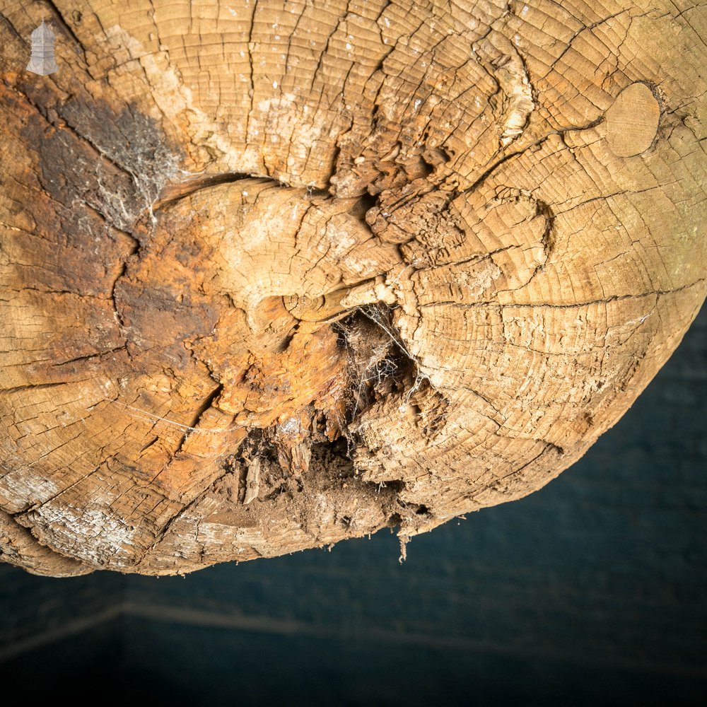 Hardwood Marker Buoy, Large Weathered Wooden Spere / Ball with Cast Iron Fixing Ring