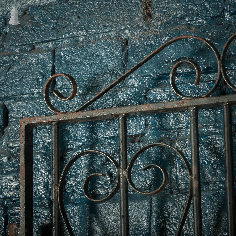 Pedestrian Gate and Panel, 20th C Wrought Iron Gate and Railing