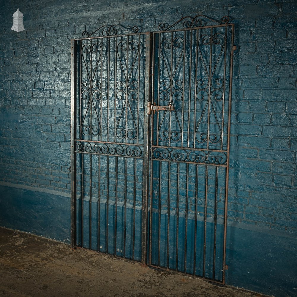 Pedestrian Gate and Panel, 20th C Wrought Iron Gate and Railing