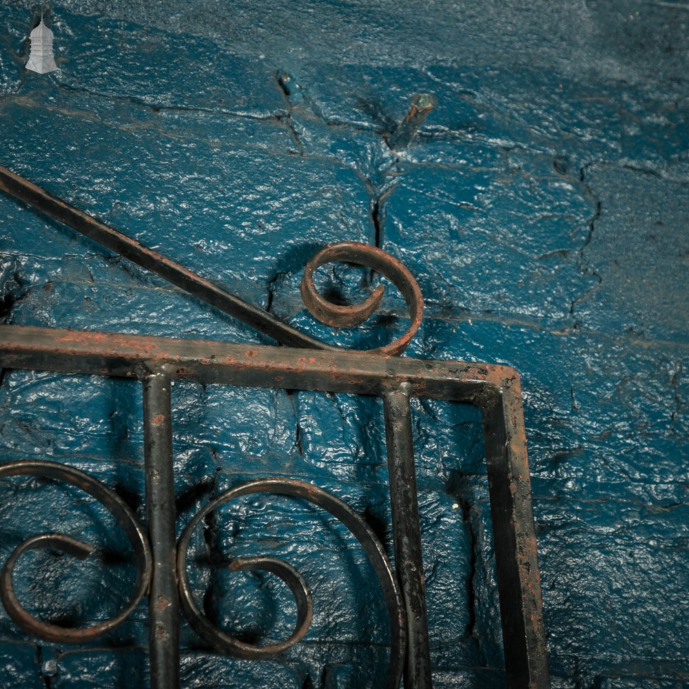 Pedestrian Gate and Panel, 20th C Wrought Iron Gate and Railing