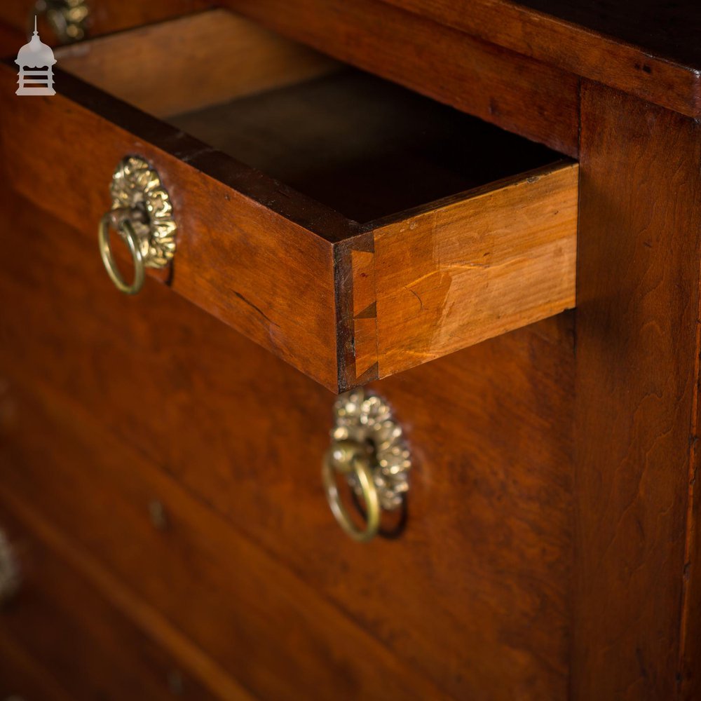 19th C Swedish Fruitwood Chest of Drawers with Column Base and Brass Pulls